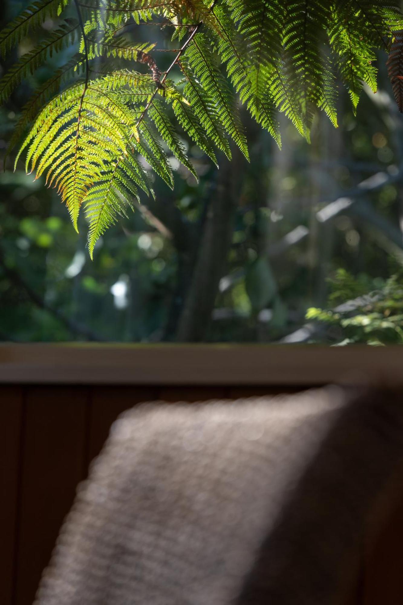 Hidden Hideaway Villa Kaikoura Exteriör bild
